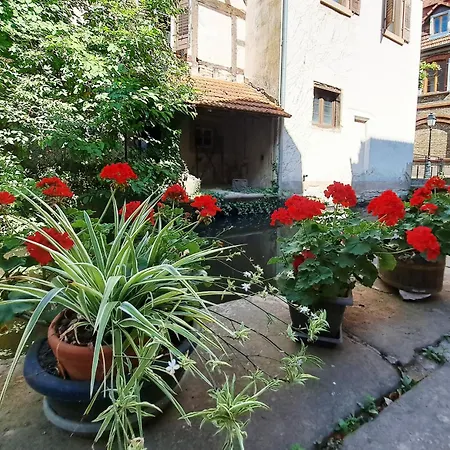 Les Bords De La Lauter, 1 Maison, 4 Appartements, Les De * Wissembourg