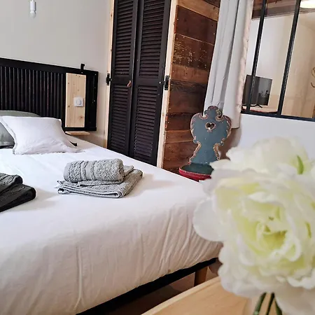 Les Bords De La Lauter, 1 Maison, 4 Appartements, Les De Wissembourg