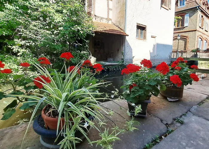 Les De - La Tannerie * Wissembourg